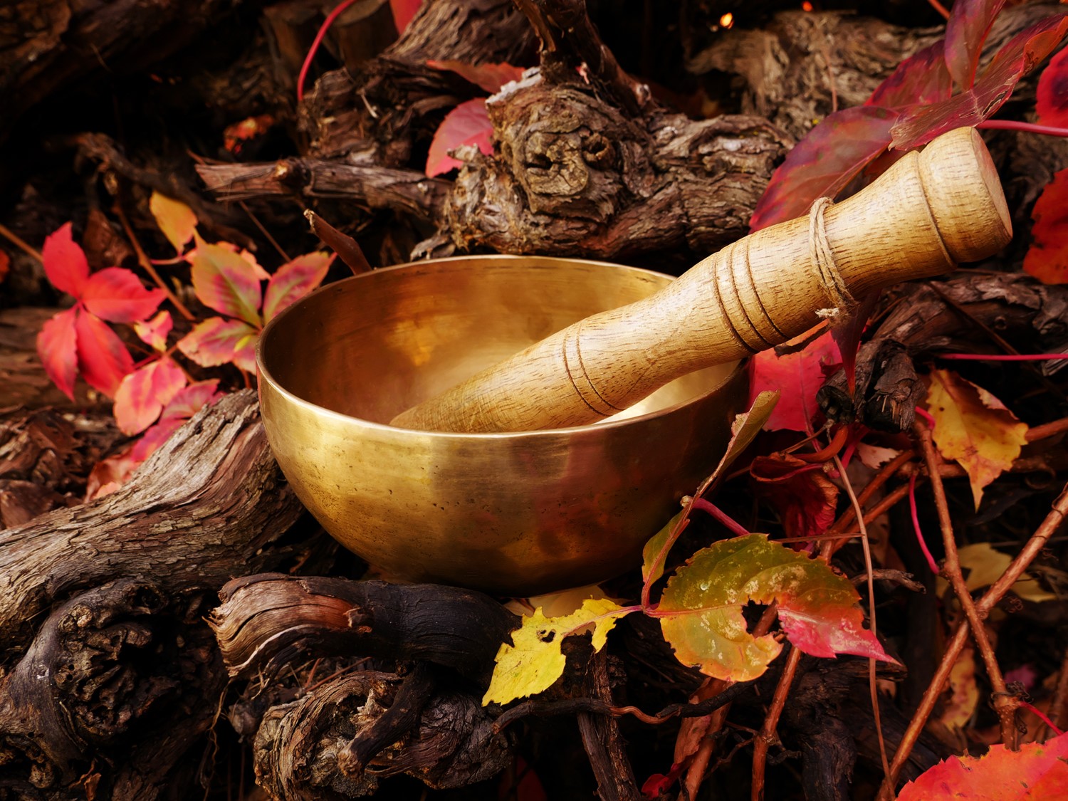 Ayurveda and Sinusitis